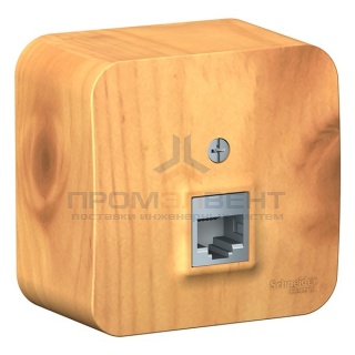 Розетка телефонная RJ11 Blanca Schneider Electric ясень изол.пластина